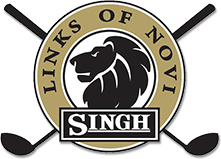 The Links of Novi Singh Logo